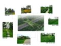 2008奧運(yùn)精品工程之北京奧林匹克森林公園生態(tài)廊道