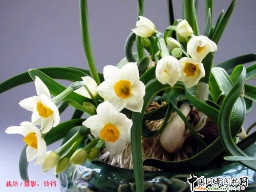 (ji)껨D(zhun)\(yn)(MD)