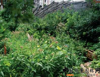 2009ASLA綜合設(shè)計類榮譽獎：淚珠公園
