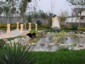 澳門園--第七屆中國（青州）花博會國內展園