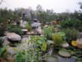 齊魯園-棗莊園-第七屆中國（青州）花博會國內展園