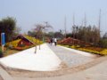 深圳園--第七屆中國（青州）花博會國內展園