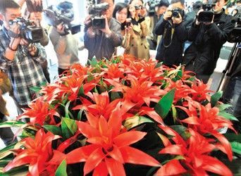 上海：世博中國館特色花卉“中國紅”揭開其神秘的面紗