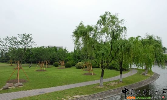     ϺW(xu)Ǉ(gu)ҡ211̡c(din)O(sh)У֮һУ@^(yu)Ϻл@λ 