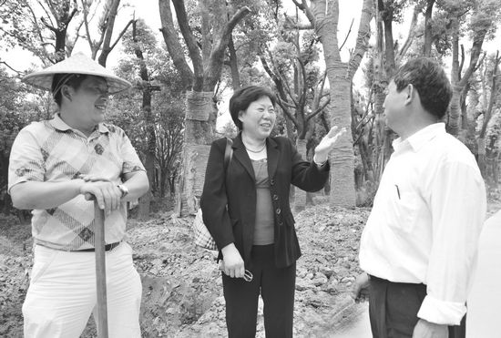 圖為王傳芝同種植戶商談苗木收購價(jià)。