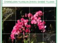 《常見(jiàn)園林植物識(shí)別圖鑒》新書(shū)上市