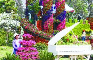 南京：中國杜鵑花展18日開幕