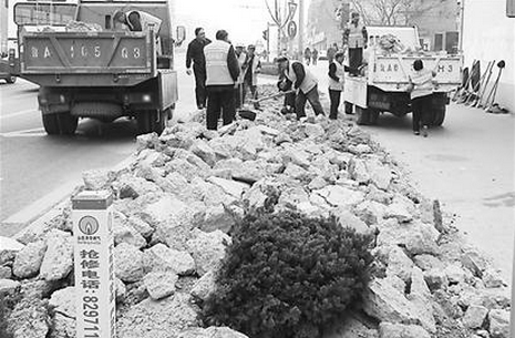 風景園林 濟南 綠化 毀綠 王官莊
