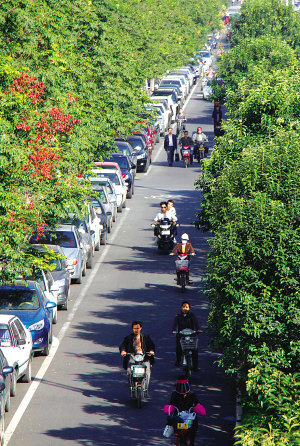 山東 濟南 綠化 拆違建 中國風(fēng)景園林網(wǎng)