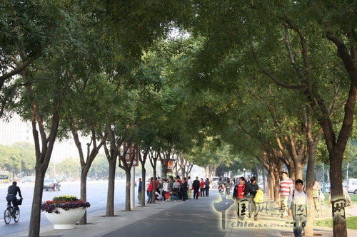 張新宇 景觀設(shè)計 長安街 北京園博會設(shè)計師廣場 中國風(fēng)景園林網(wǎng)
