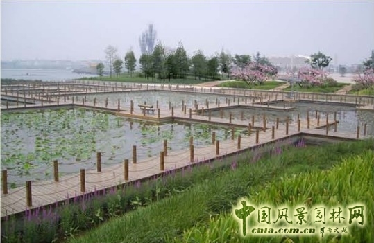 翟俊 景觀設(shè)計(jì) 七星湖公園