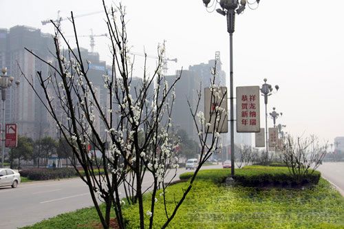 宜賓 園林 綠色城市 中國風景園林網