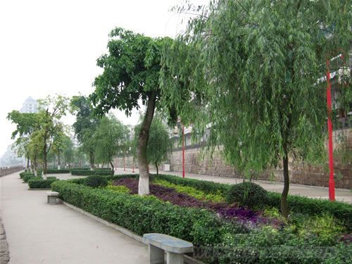 宜賓 園林 綠色城市 中國風景園林網