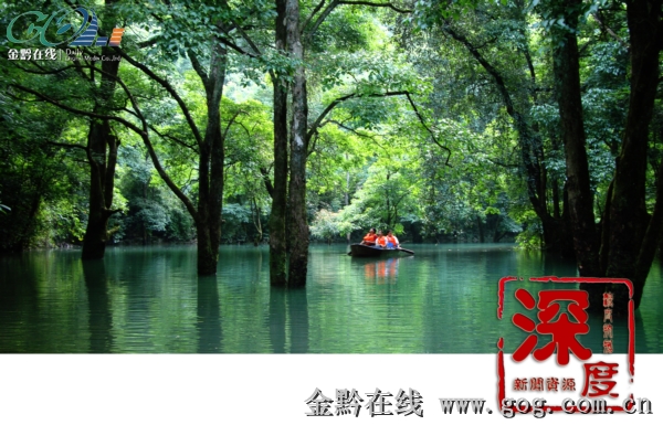 世界遺產 遺產保護 荔波 范式