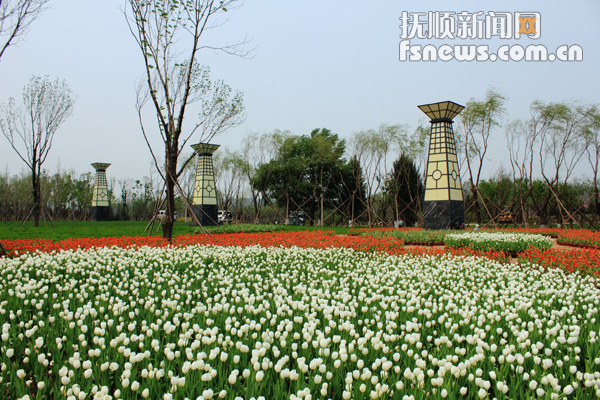 遼寧 撫順 創(chuàng)建 國家森林城市 宜居 中國風(fēng)景園林網(wǎng)