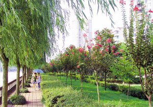 江津 噴泉水池 城市景觀 江景 中國風景園林網(wǎng)
