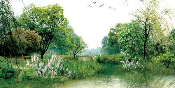 鄭州 最大 生態公園 西流湖 中國風景園林