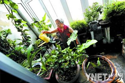 北京 首條 立體 綠化 街巷 改造 中國風(fēng)景園林網(wǎng)
