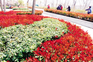 中國風景園林網(wǎng) 園林城市 創(chuàng)園 園林