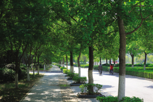 中國風景園林網 園林城市 創園 園林