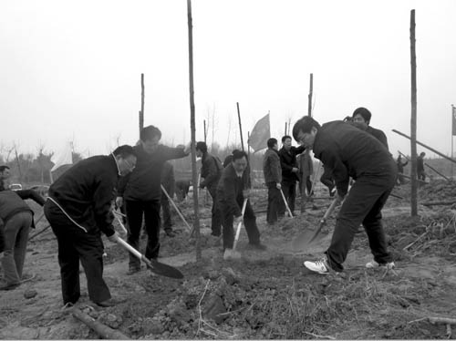 咸寧 創建 全國綠化模范城市 工作印象 中國風景園林網