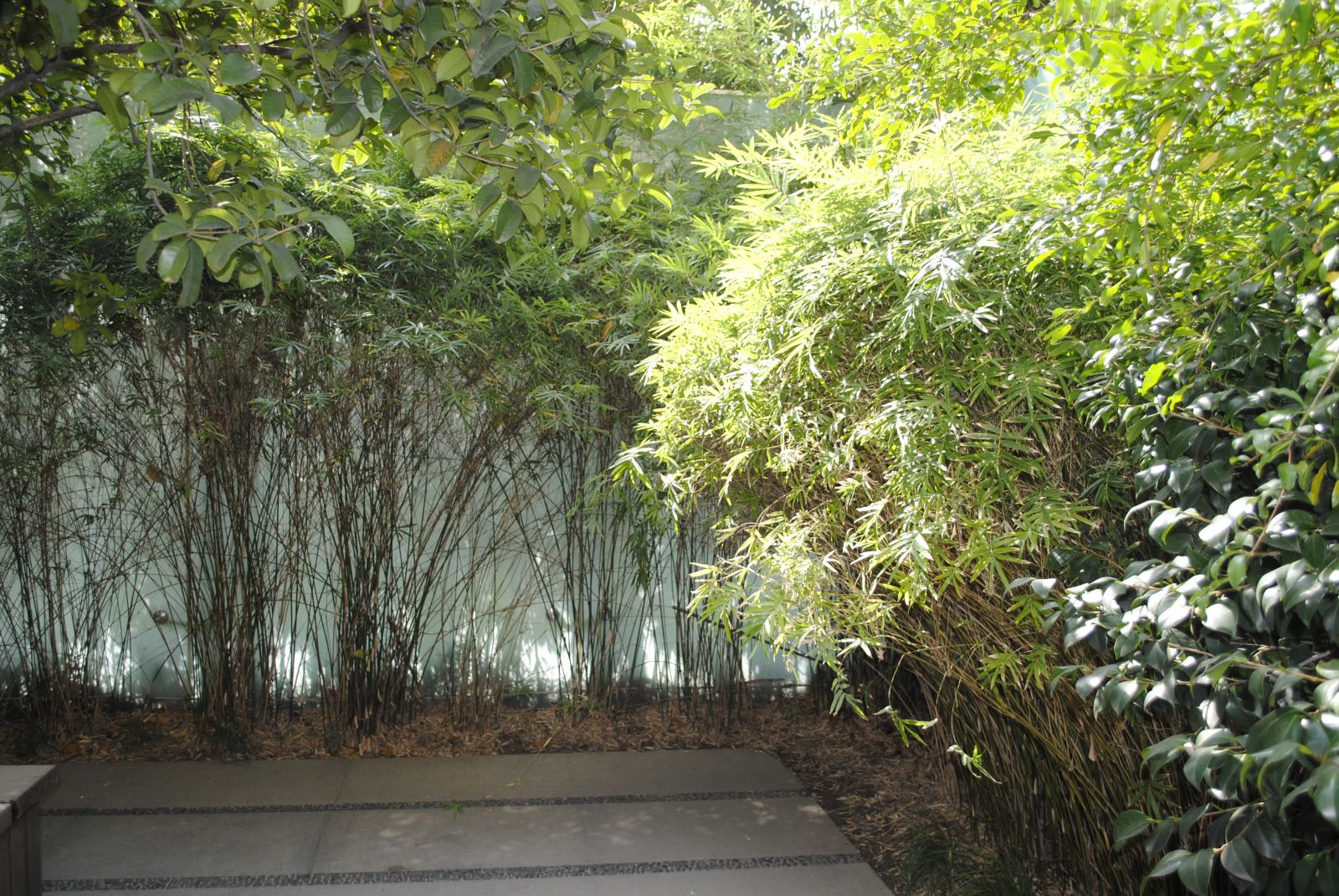 中國風景園林網(wǎng) 國內動態(tài)