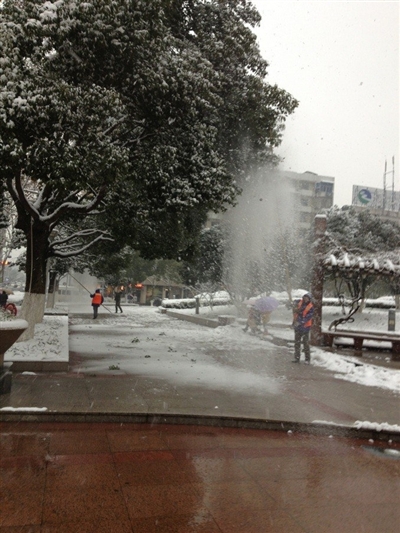 春節(jié) 苗木 市場