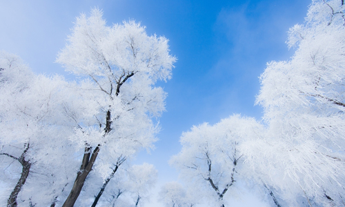 哈爾濱國際冰雪節 峨眉山冰雪溫泉節