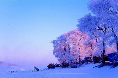哈爾濱國際冰雪節 峨眉山冰雪溫泉節