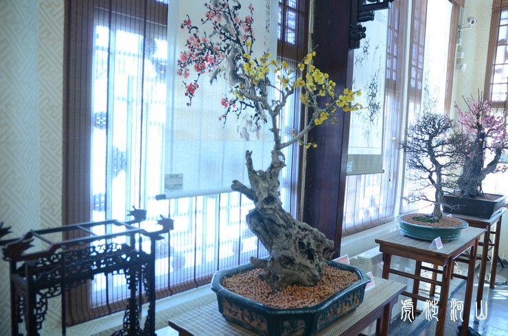 春節廟會 地壇廟會 頤和園蘇州街宮市 冰嬉
