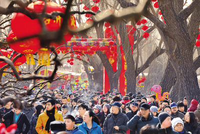 春節廟會 地壇廟會 頤和園蘇州街宮市 冰嬉