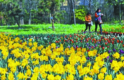 中國風(fēng)景園林網(wǎng) 中山植物園