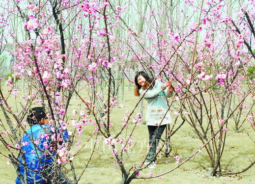 鄭州 問(wèn)花節(jié) 綠博園
