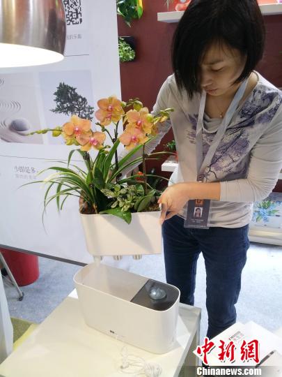 空氣加濕器花盆
