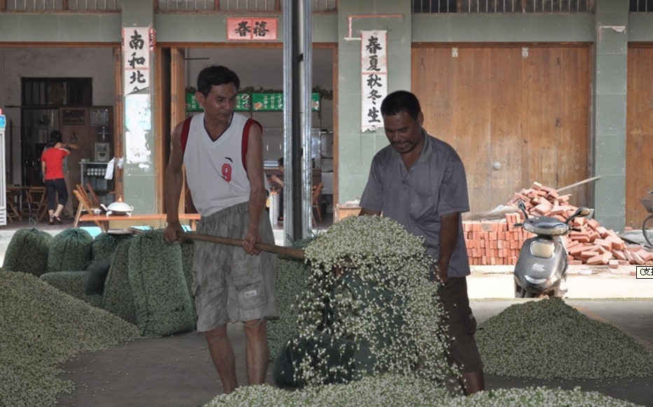 茉莉花交易現(xiàn)場(chǎng)