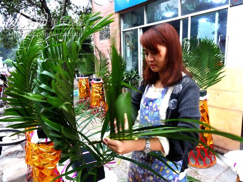 重慶 花卉 花店