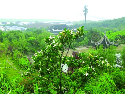 梔子花開(kāi)