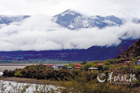 最美景觀 最美自駕 自駕旅游 風景園林