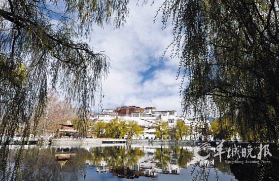 最美景觀 最美自駕 自駕旅游 風景園林