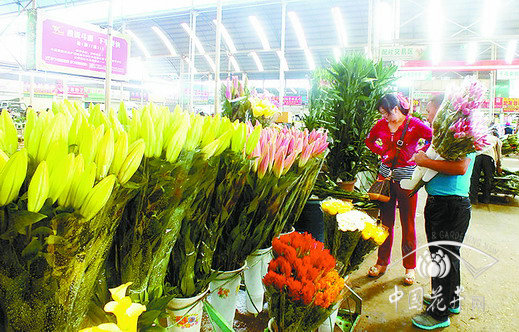 百合 市場(chǎng) 花卉