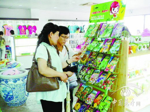 北京 園博園 花卉種子