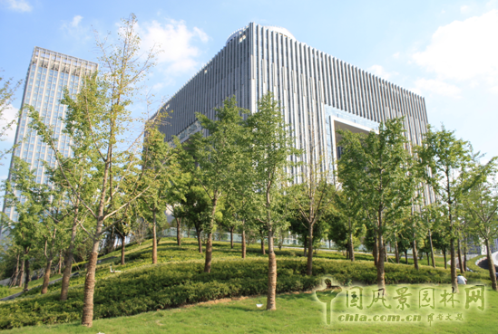 屋頂綠化 江南建筑 南京屋頂綠化大會 墻體綠化