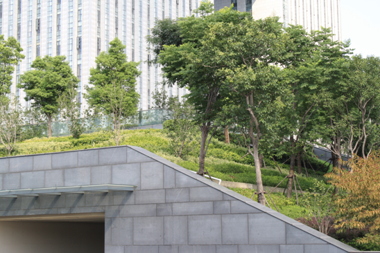 屋頂綠化 江南建筑 南京屋頂綠化大會 墻體綠化