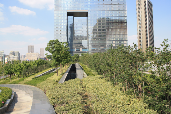 屋頂綠化 江南建筑 南京屋頂綠化大會 墻體綠化