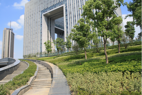 屋頂綠化 江南建筑 南京屋頂綠化大會 墻體綠化