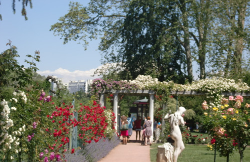 金頭花園