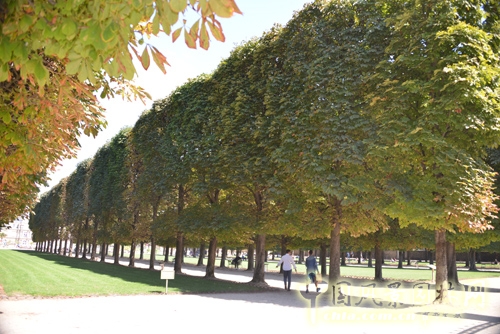 盧森堡公園 景觀設(shè)計 法國考察