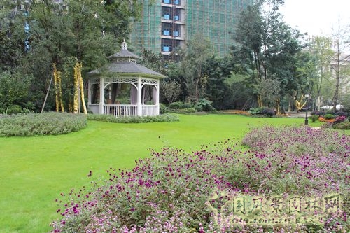 住宅景觀獎 園林景觀 成都世貿(mào) 成都世貿(mào)猛追灣項(xiàng)目