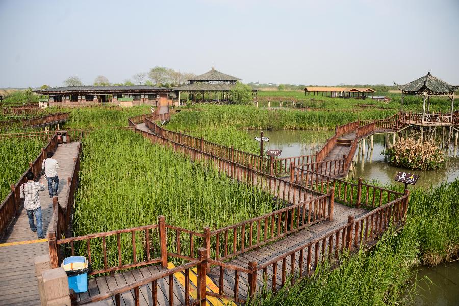 濕地公園 國家公園 