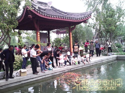 北京園博園 公園 端午節小長假 節日旅游